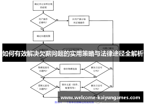 如何有效解决欠薪问题的实用策略与法律途径全解析