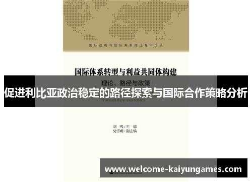促进利比亚政治稳定的路径探索与国际合作策略分析