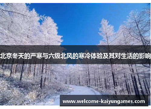 北京冬天的严寒与六级北风的寒冷体验及其对生活的影响