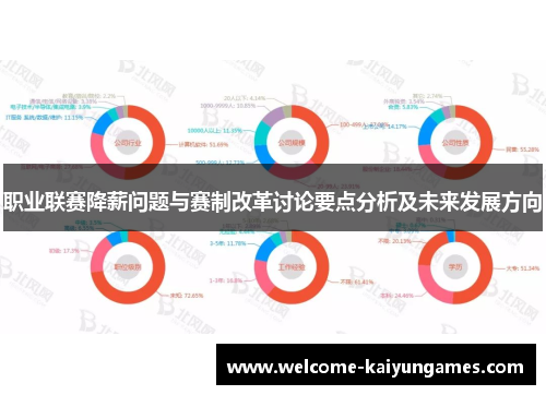 职业联赛降薪问题与赛制改革讨论要点分析及未来发展方向