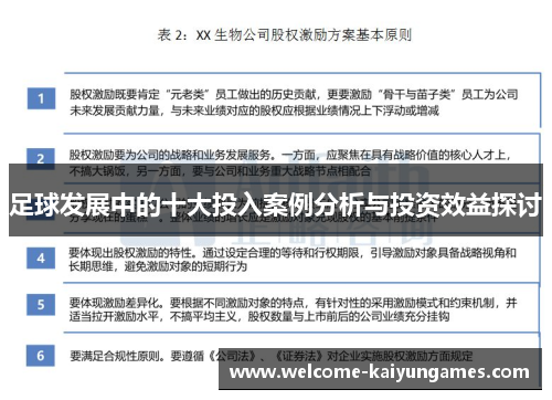 足球发展中的十大投入案例分析与投资效益探讨